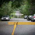 IMG 0019
